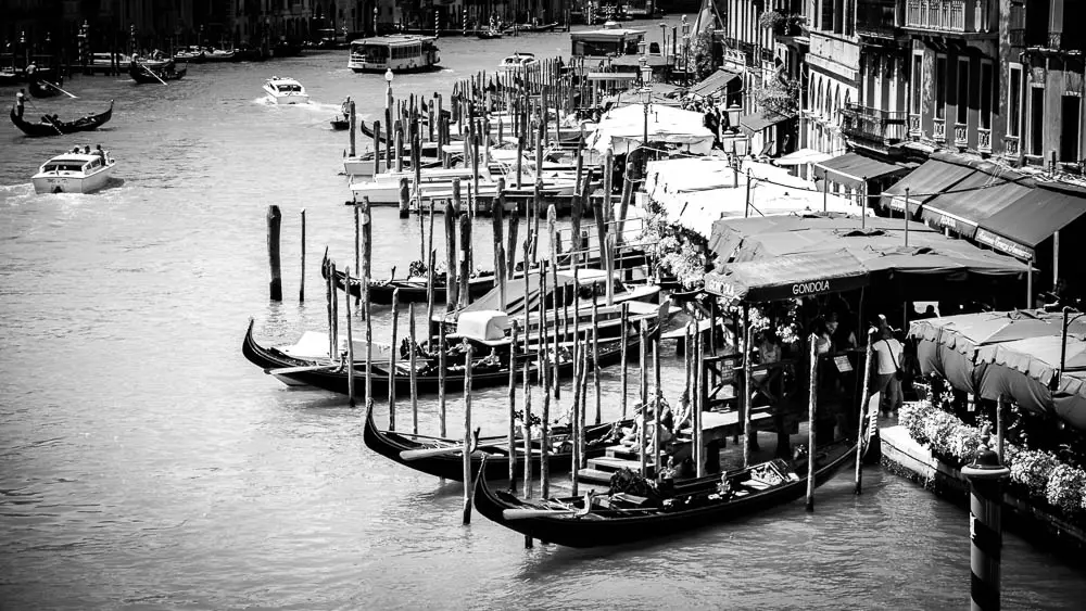 Fotografía En Blanco Y Negro